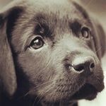 avery lee wakefield - @_lee_wakefield_ - Instagram