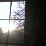 @leewalker - Instagram