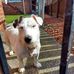 Lee Walls - Facebook