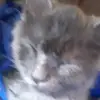 lee ward - @lee.ward93 - TikTok
