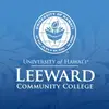 leewardcc - @leewardcc - TikTok