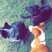 Harvey Lee Wardlaw Jr. - Facebook
