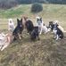 Lee Watt - Facebook