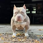 Eric Lee Wegner - @terrorist_bred - Instagram