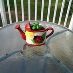 Nancy Lee Wegner - @wegnernancy - Instagram