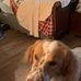 Lee Weisberger - Facebook