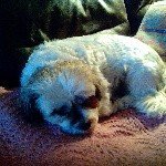 Brenda Lee Weinstein - @brendalee11953 - Instagram