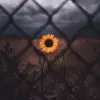 Demi-lee Weitz - @demilee.weitz - TikTok