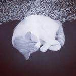 kenlee-ann Welborn - @kenleeannwelborn - Instagram