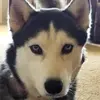 leeweldonstudios - @leeweldonstudios - TikTok