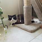 Wellington Lee - @lee_wellington - Instagram