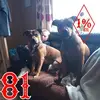 Lee Wells - @leewells06 - TikTok