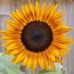 Lee Wentworth Zaleski - Facebook