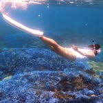 Sherry Lee - @leewentzu - Instagram
