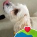Lee Werner - Facebook