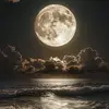 Lex - @lee.wertxz - TikTok