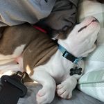 @wesson.lee_ - Instagram