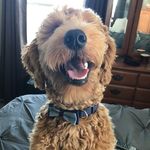 Wesson - @wesson.lee - Instagram