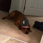 Wesson - @wesson_lee - Instagram