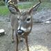 Lee Westberry - Facebook