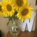 Lee-Anne Westbrook - Facebook