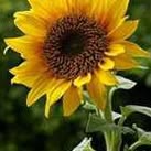 Lee-lynne Westerlund - Facebook