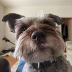 Lee Barrett Westmoreland - @bestboybaxter - Instagram