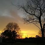 Vicki Lee Westmoreland - @vickiwestmoreland - Instagram