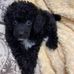 Lee Wentzel - Facebook