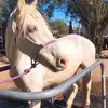 jaimeleeweyer - @jaimeleeweyer - TikTok
