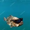 Lee - @lee.whaley - TikTok