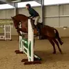 Lee Whaley - @user754012206 - TikTok