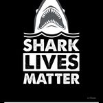 Wyatt Lee Whaley - @wyatt_20077 - Instagram
