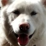 Lee Wharton - @leewharton07 - Instagram