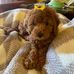 Lee Wheeler - Facebook