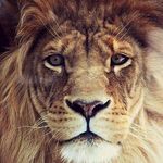 Lee Whipp - @whipp442 - Instagram