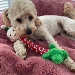 Lee Whitby - @ele50lee - Instagram