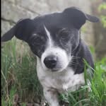 Lee Whitehead - @lee.whitehead.568 - Instagram