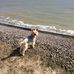 Lee Whiting - Facebook