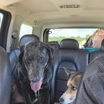 Janet Lee Whitmer - @whitmerjanetlee - Instagram