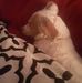 Lee Whitmer - Facebook