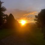 Lee Whitmore - @leewhit77 - Instagram