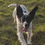 Lee Whittaker - @lee.whittaker.73 - Instagram