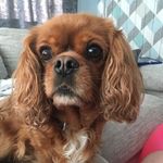 Lee Whittaker - @lee.whittaker3 - Instagram
