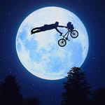 Lee Whittam - @lee.whittam - Instagram