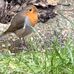 Lee Whittington - Facebook