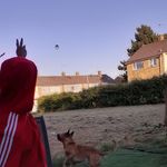 Lee Whittington - @whitt8t8 - Instagram