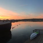Lee Whittington - @leewhittington - Instagram