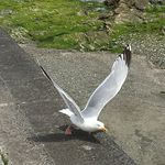 Lee Whittington - @lee.whittington82 - Instagram