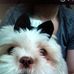 Lee Whitwell - Facebook